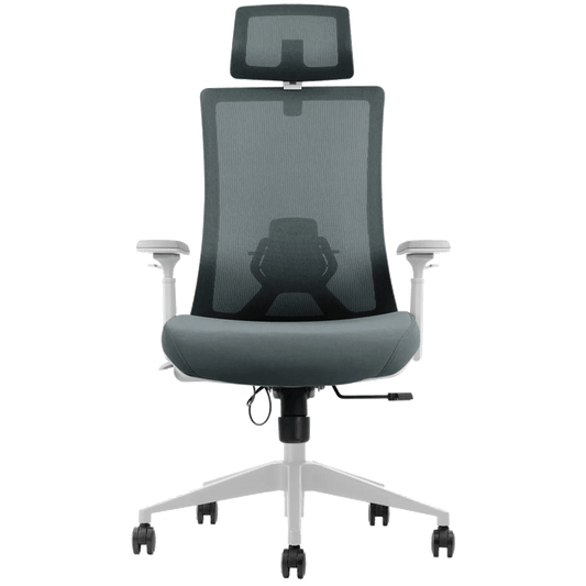 Alberenz® Adjustable Ergonomic Office Chair - Alberenz - 